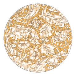 Bachelor's Button βάση