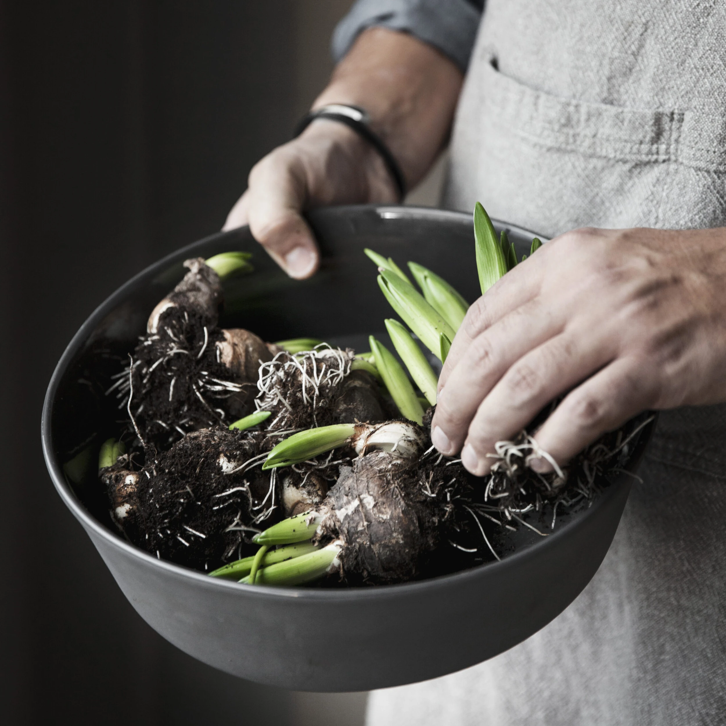 Ernst μπολ σερβιρίσματος 30 Cm 2 Ernst μπολ σερβιρίσματος 30 Cm - Image 2