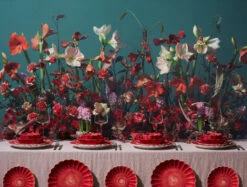 Mateus Oyster μπολ 13 Cm 16 Mateus Oyster μπολ 13 Cm -Κατάστημα Marimekko 505485 01 8 EnvironmentImage 969104d866