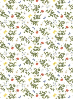 Birchäng μουσαμάς