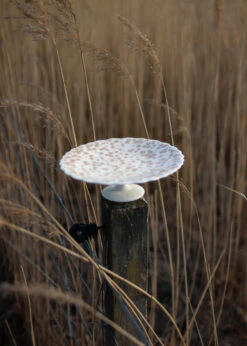 Slåpeblom πιατέλα κέικ Ø 21 Cm -Κατάστημα Marimekko 516204 01 2 EnvironmentImage 7da7353376