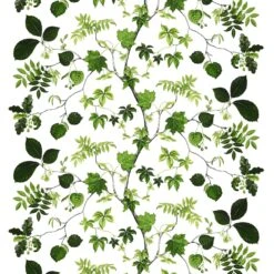 Liv μουσαμάς